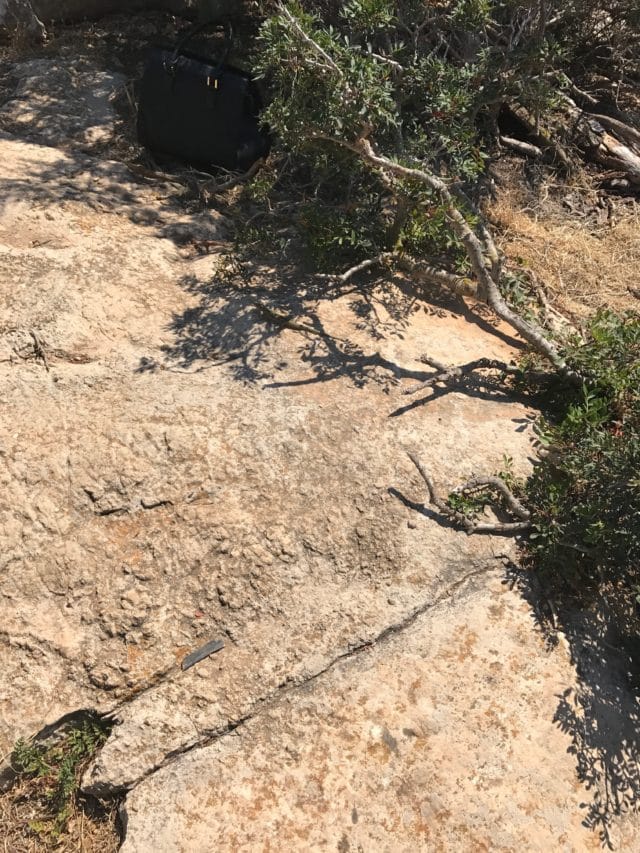 Bag Sitting On Mountain Rock With Bushes Around It