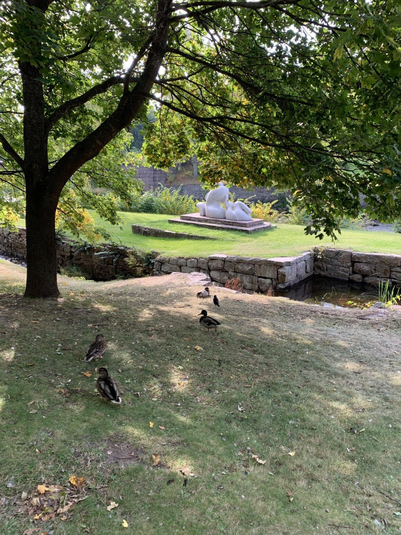 Ducks On Lawn Next To Stream And Statue