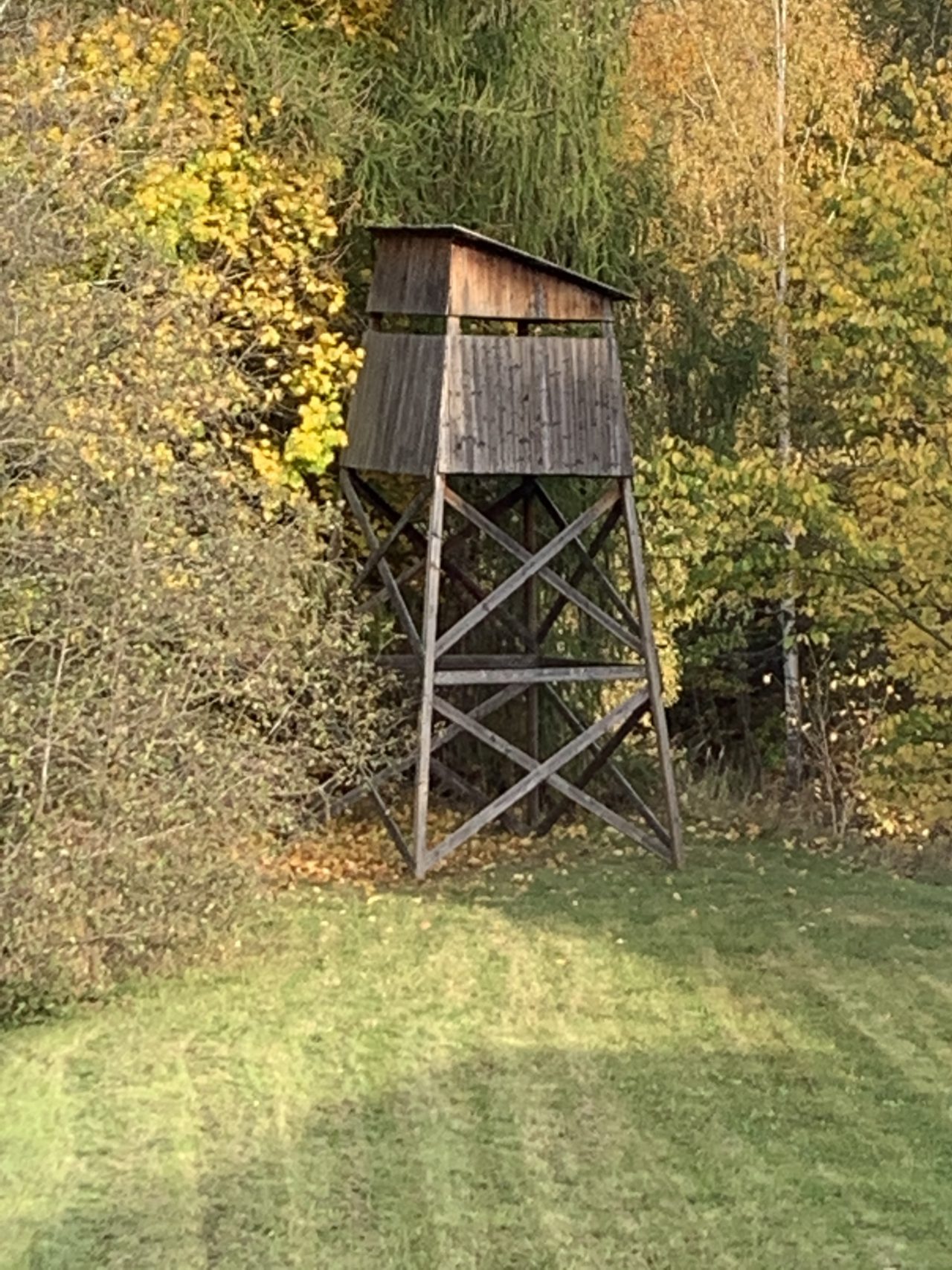 Hunting Tower In The Woods In Fall