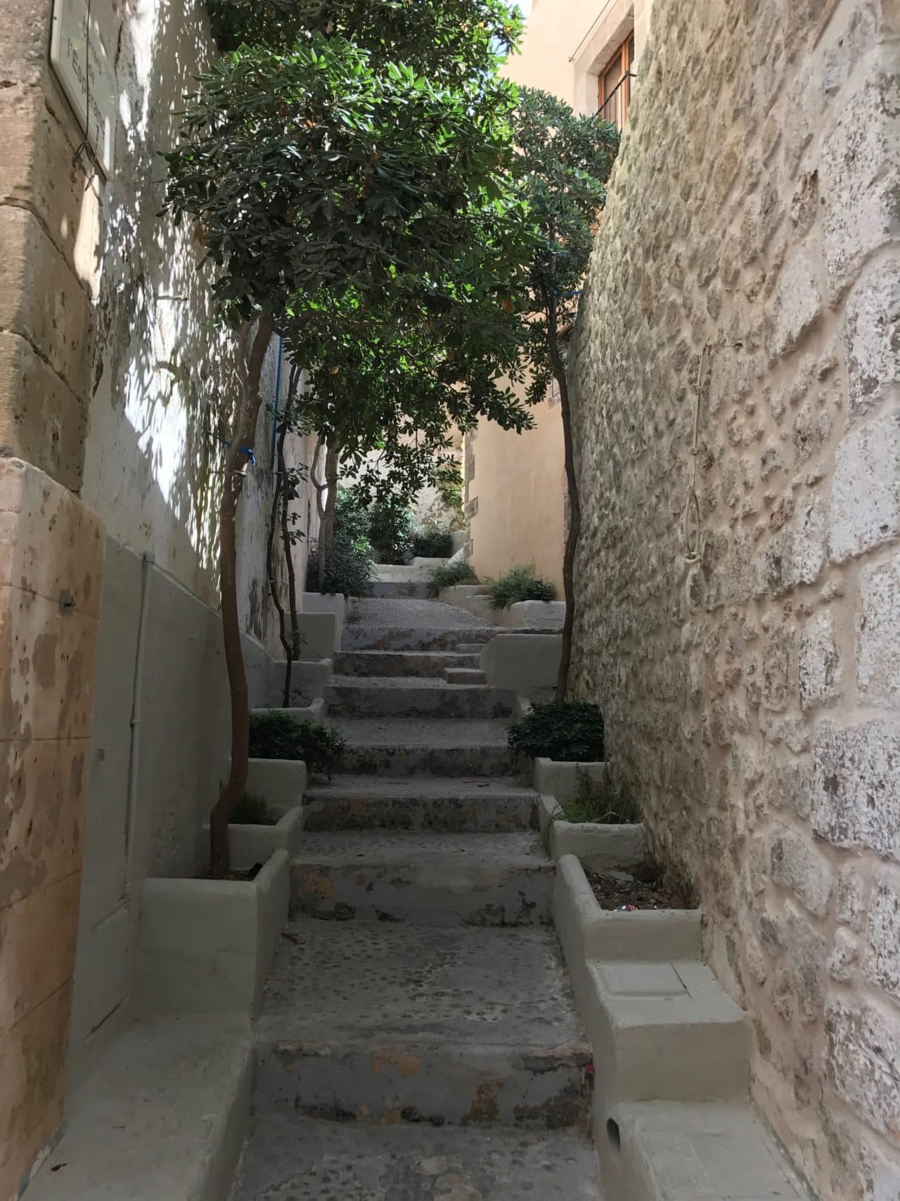 Narrow Stone Stair Alley With Small Trees