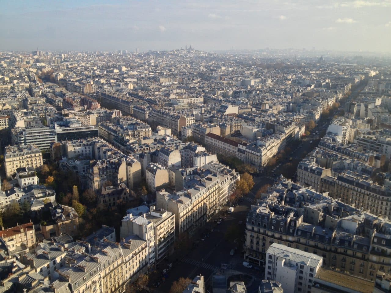 Paris City View With Streets And Buildings