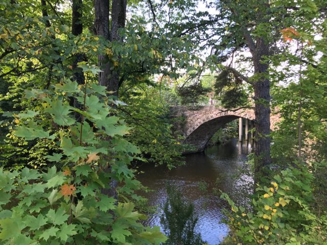 Stone Arch Bridge Of Stream With Trees