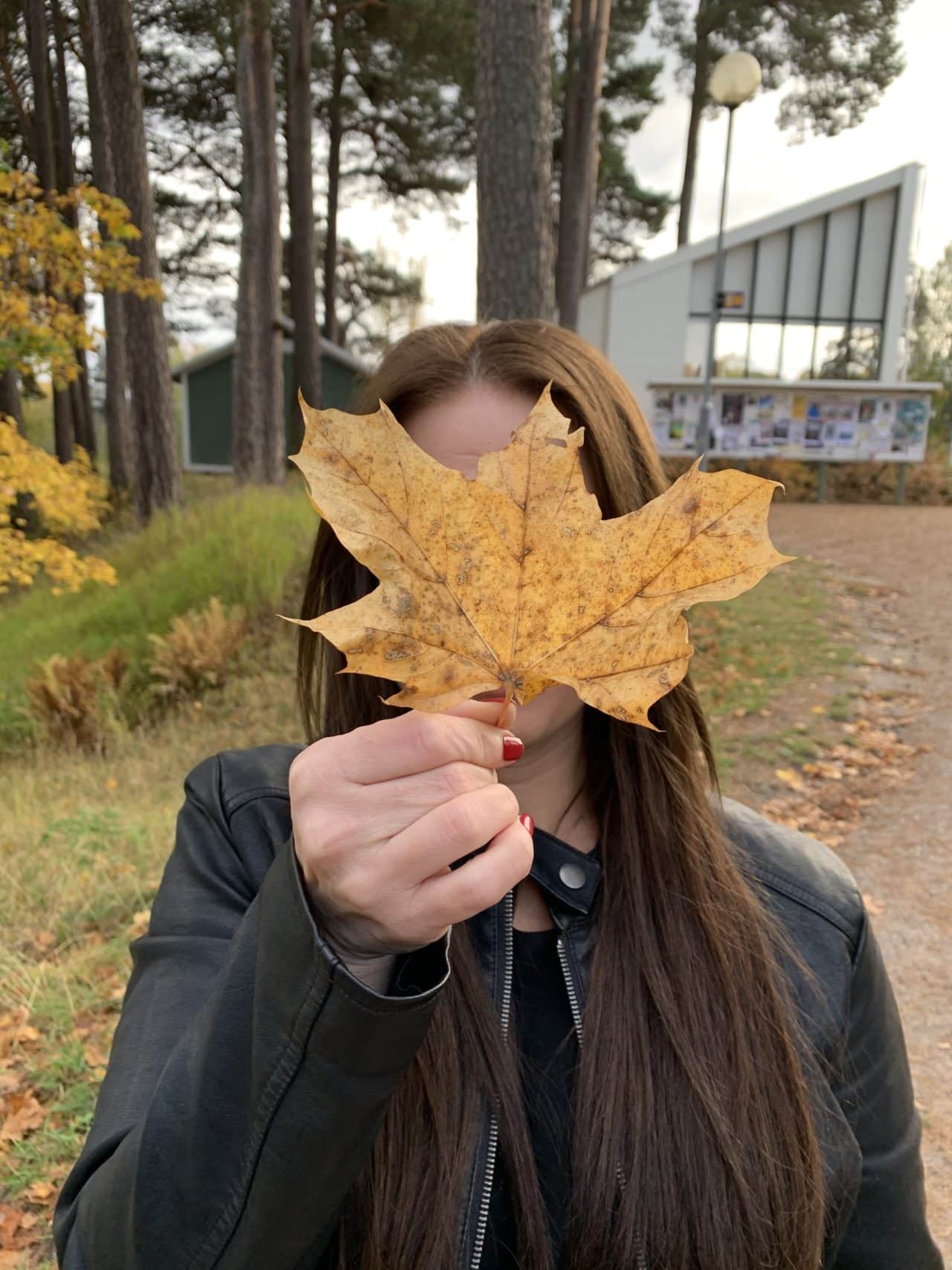 Woman Holding A Brown Leaf In The Fall