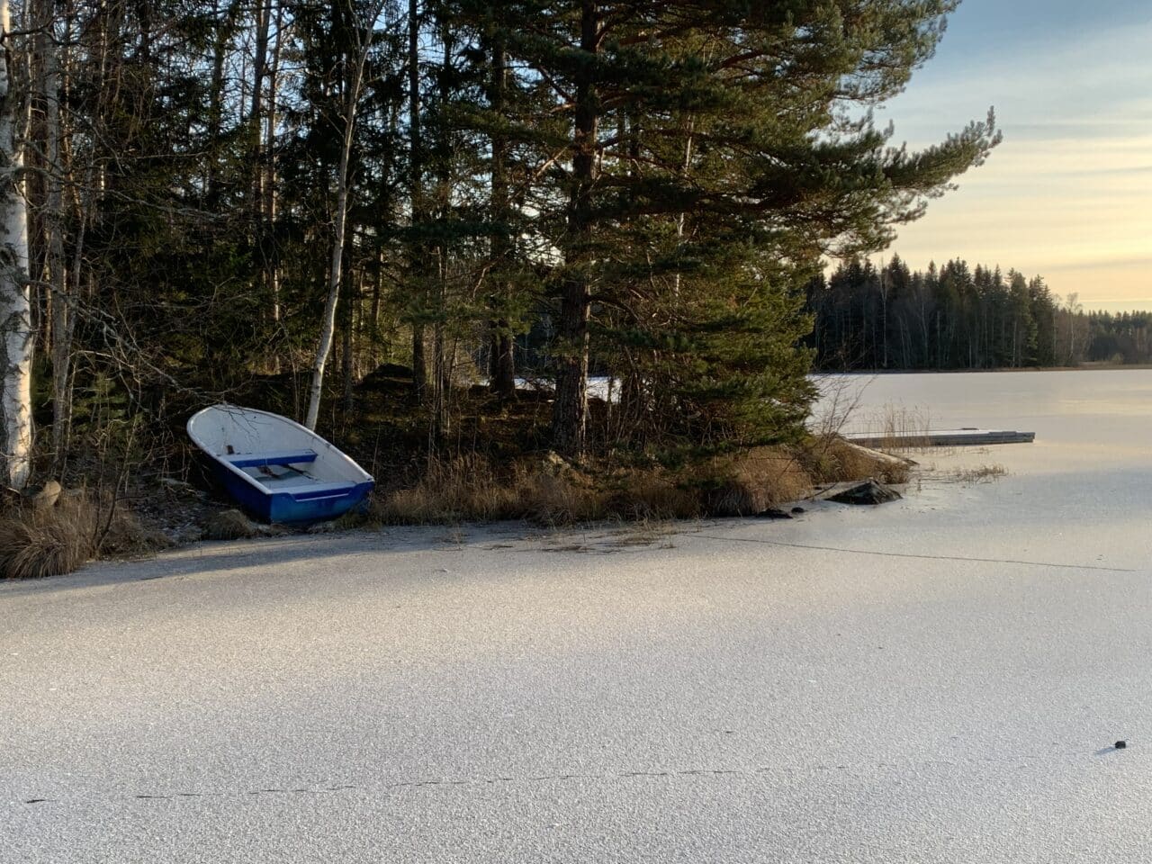Boat In Forest By Frozen Lake