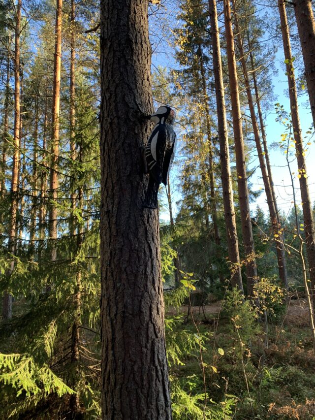 Carved Wooden Woodpecker On Pine Tree In Forest