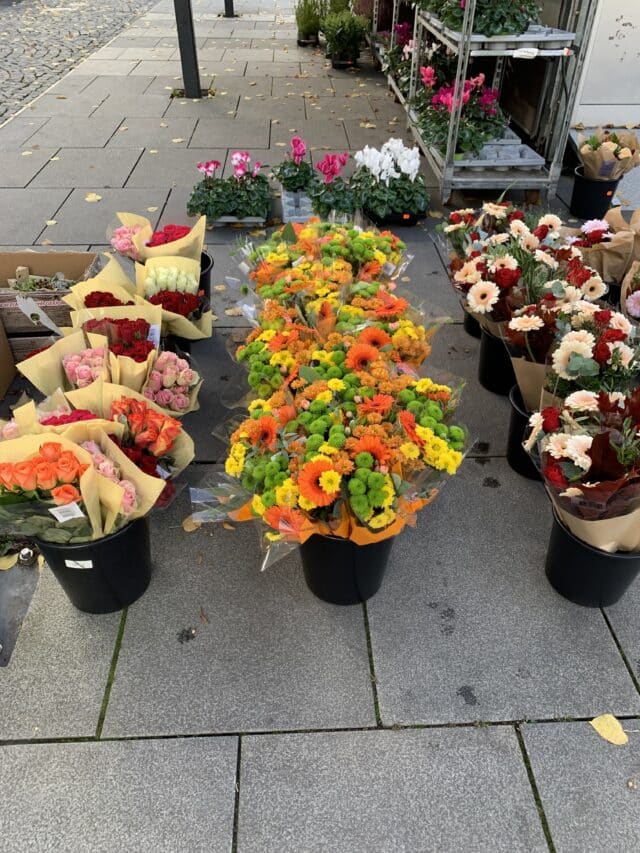 City Square Flower Market Stall Shop
