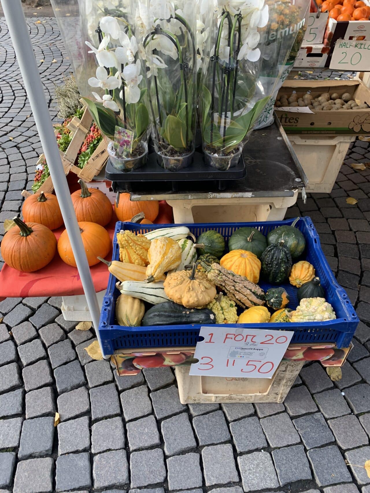 Pumpkins And Flowers For Sale In A City Square Market Stall