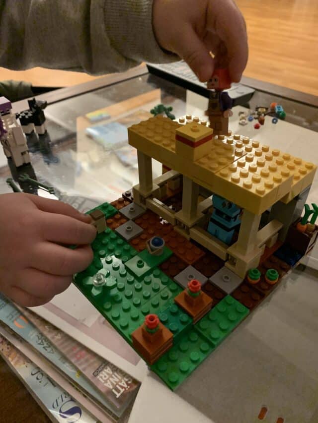Creative Minecraft Set Lego Build