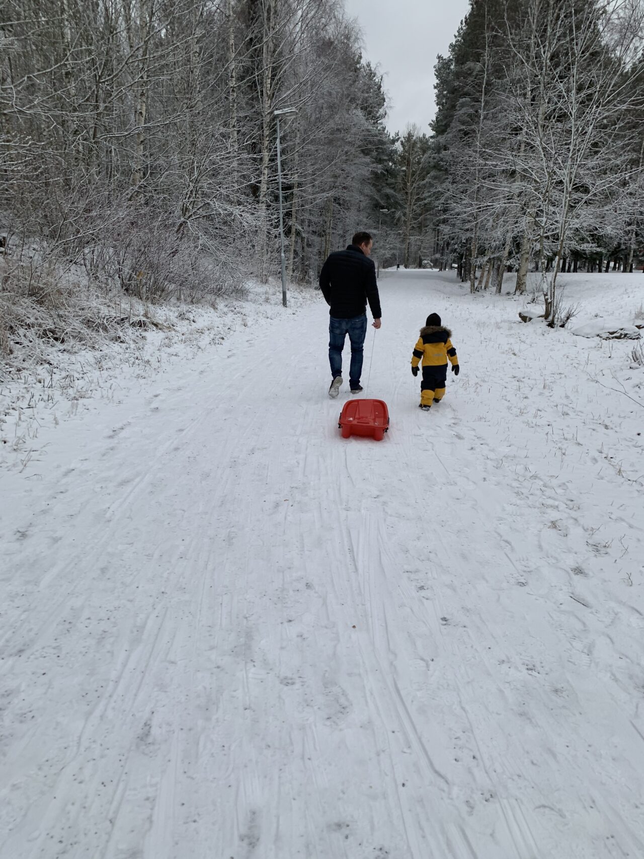 Father And Son Walking In The Snow