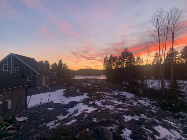 Orange Sunset In Forest Neighbourhood In Winter