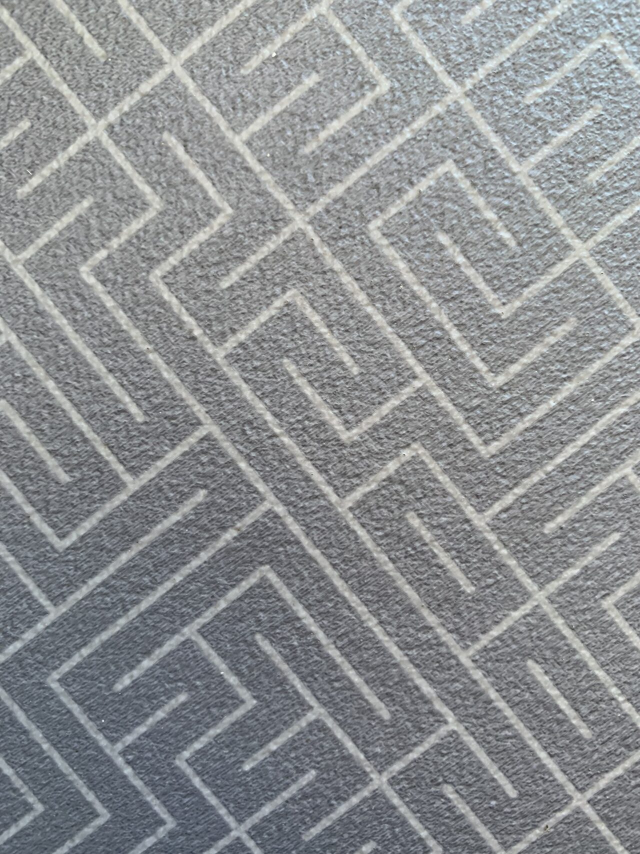 Gray Labyrinth Floor Lines texture Pattern