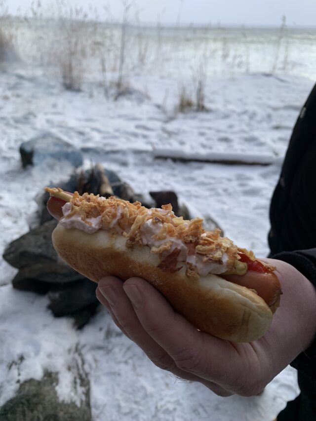 Hand Holding Hot Dog With Roasted Onion At Camp Site