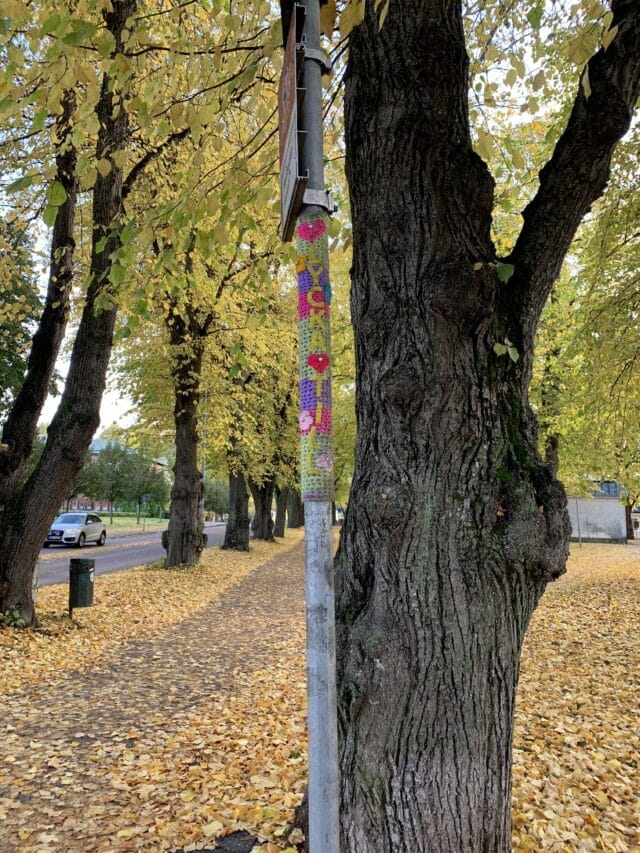 Knitted Wrap on Street Light By A Tree In Autumn