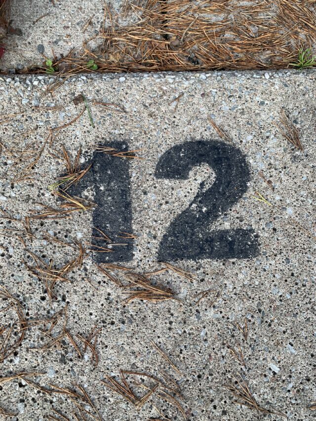Number 12 Text On Concrete Slab With Pine Needles