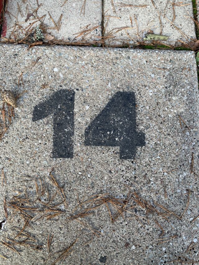 Number 14 Text On A Concrete Slab With Pine Needles