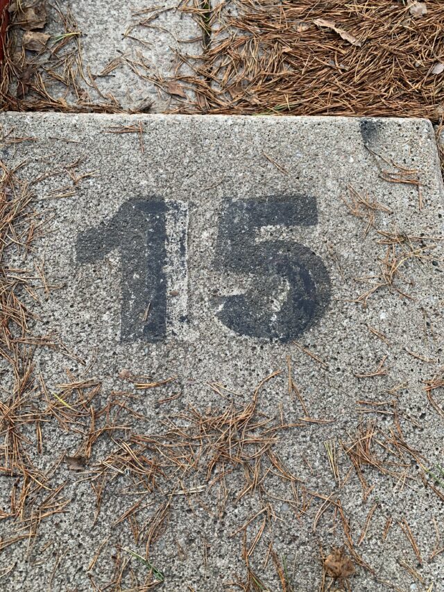 Number 15 Text On Concrete Slab With Pine Needles