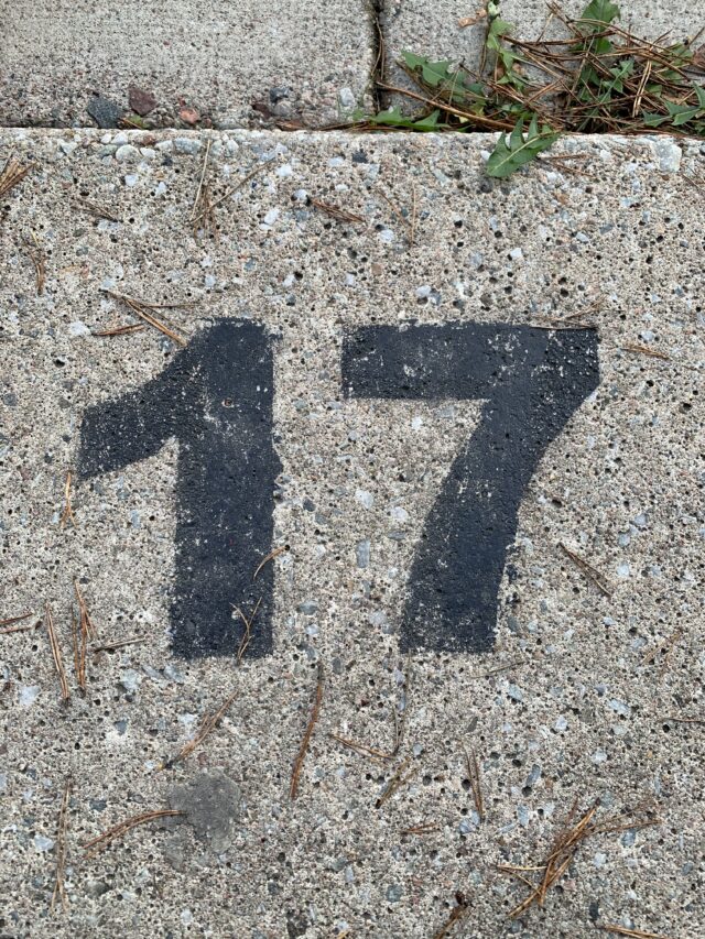 Number 17 Text On Concrete Slab With Pine Needles