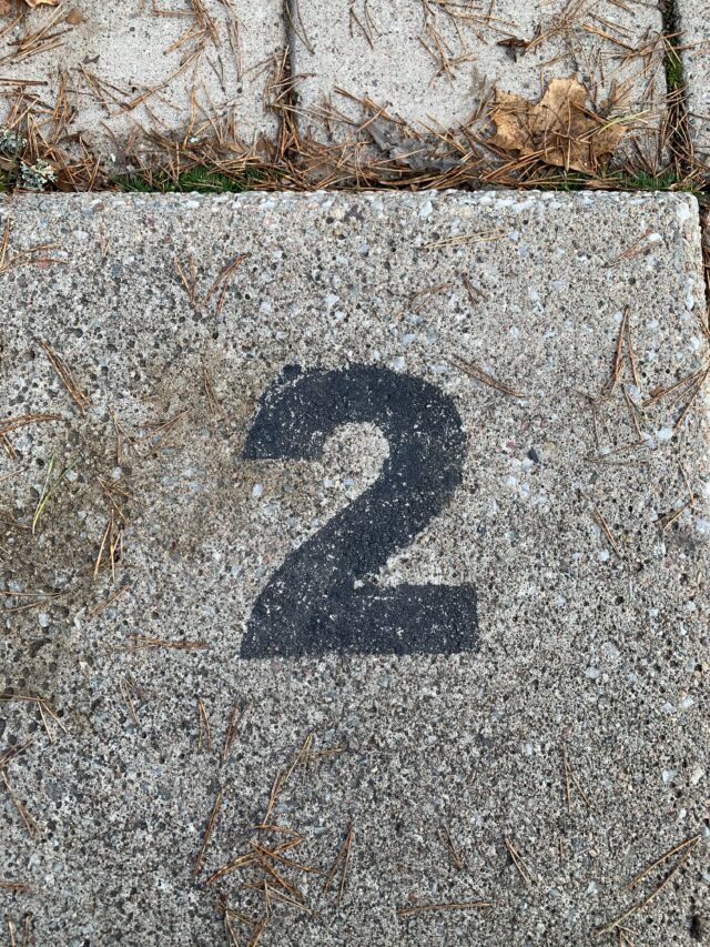Number 2 Text On Concrete Slab With Pine Needles