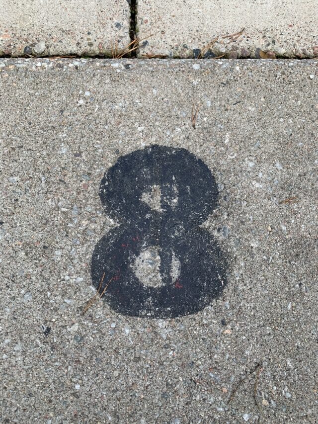 Number 8 Text On Concrete Slab With Pine Needles