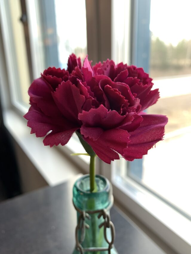 Red Textile Flower In A Bottle On A Table