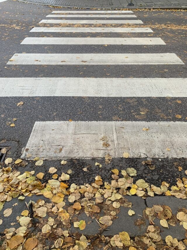 Street Crosswalk With Yellow Leaves