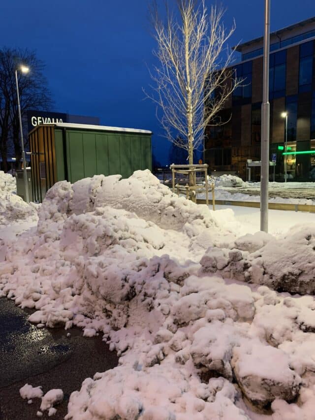 Pile Of Snow In Front Of A Tree And Electrical Central