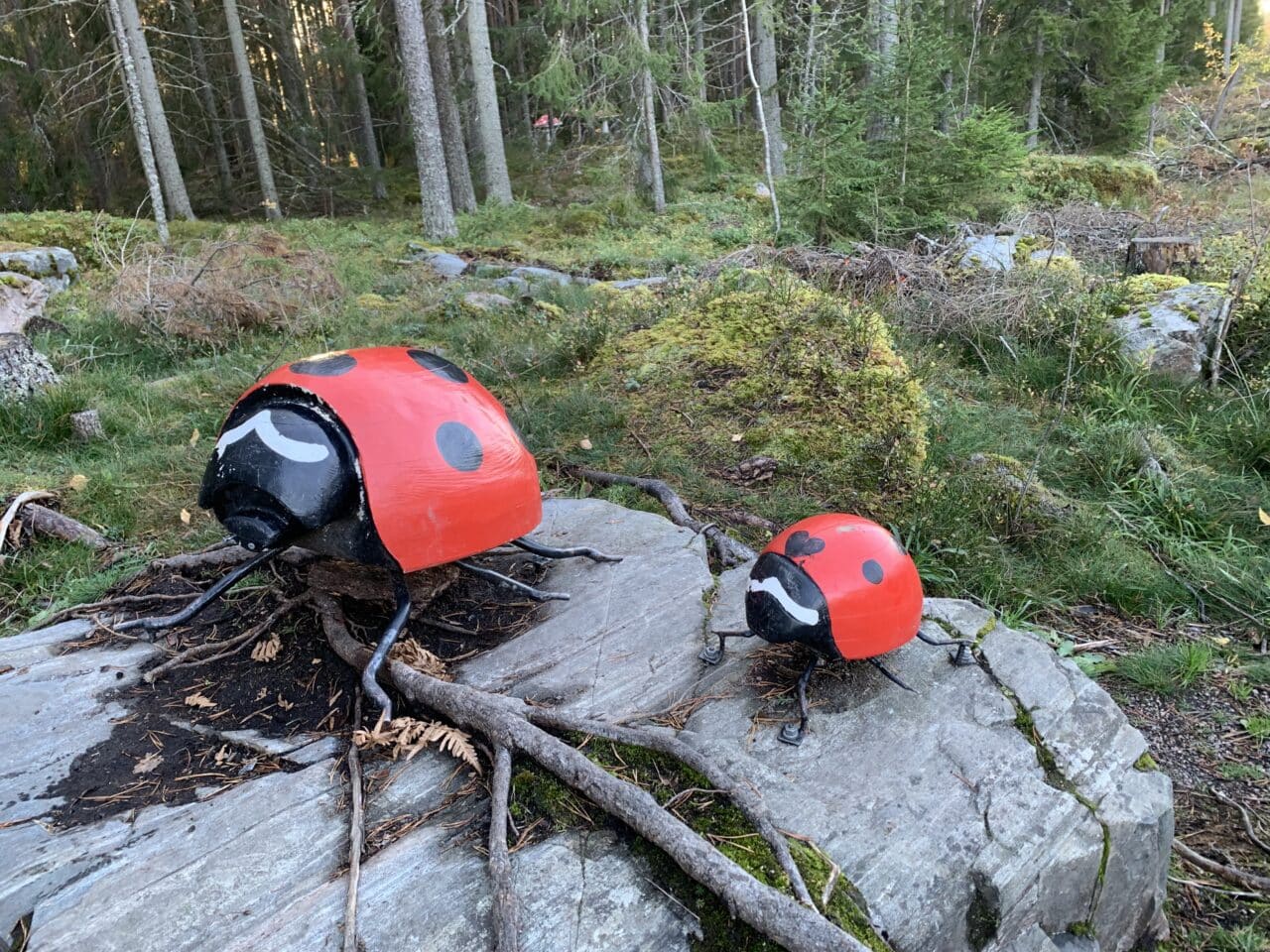 Two Wooden Lady Bugs On A Rock In The Forest