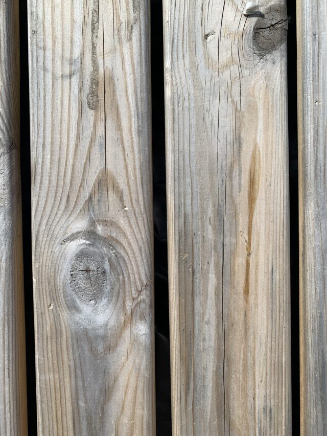 Wood Plank Fence Tree Texture Pattern